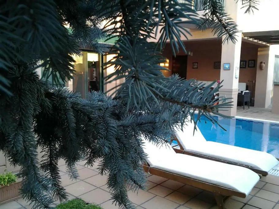 Villa 4-seasons Pool Near Meteora *