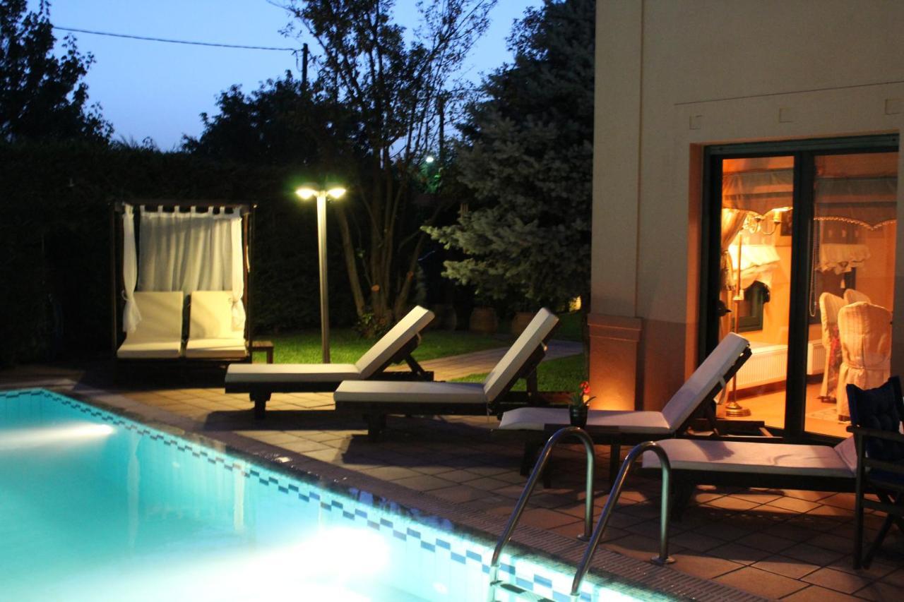 Villa 4-seasons Pool Near Meteora